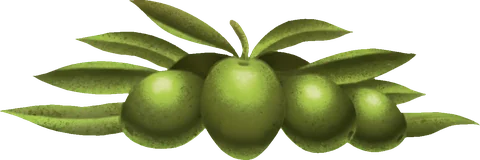 Olivefood Logo